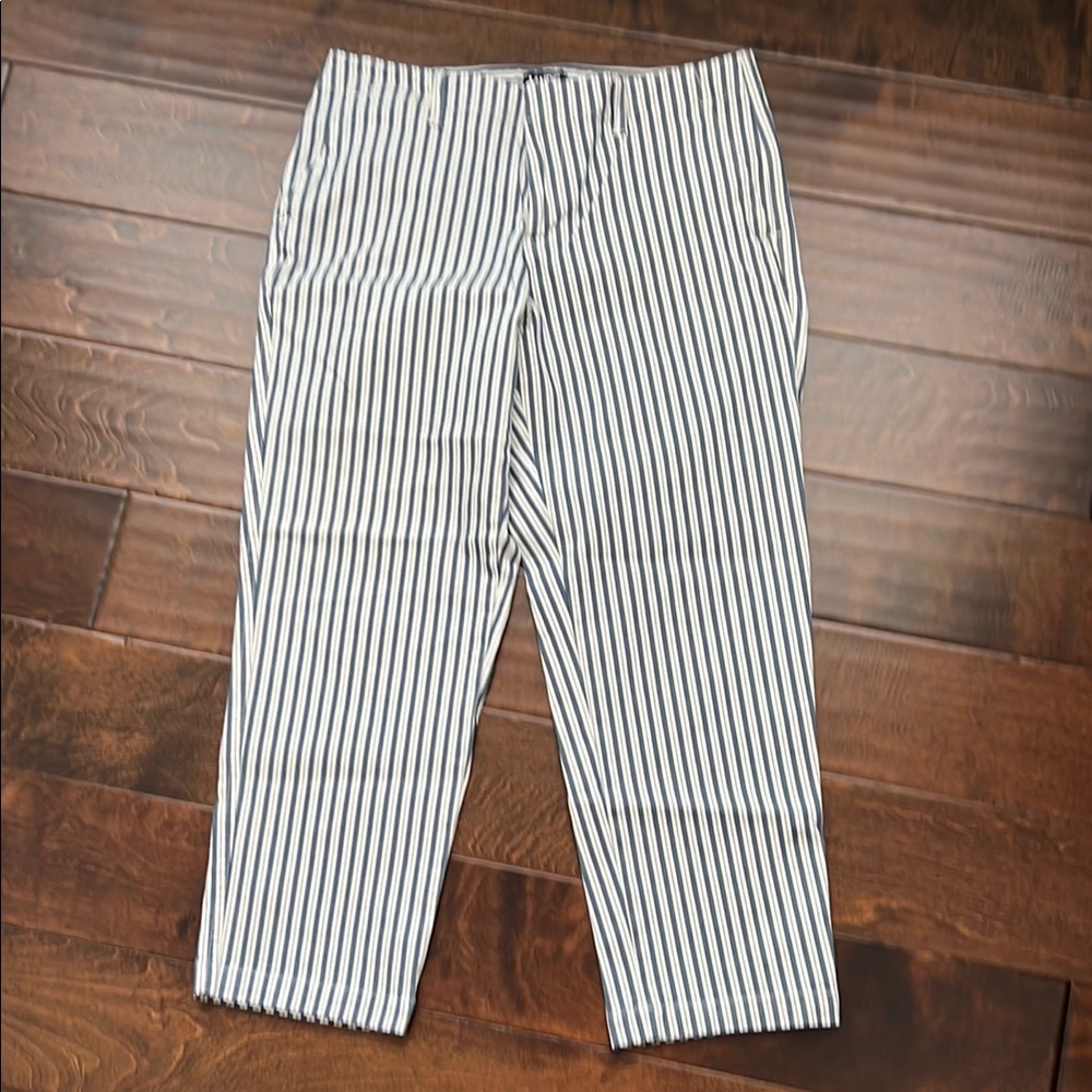 Striped Blue and White Pants